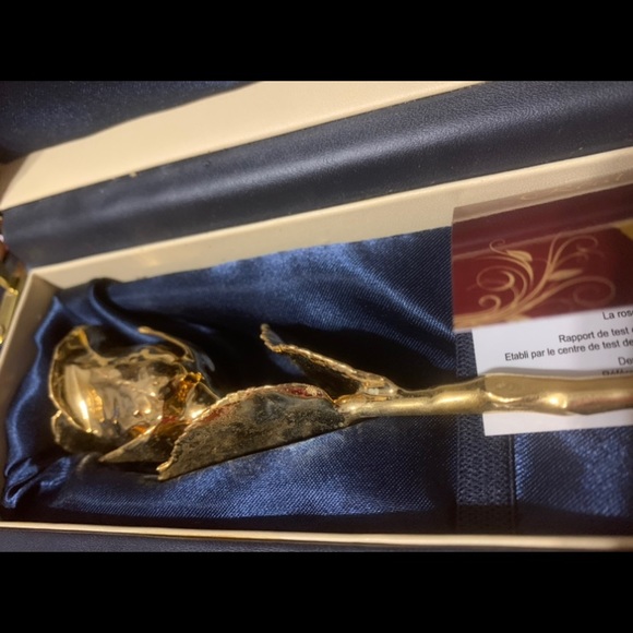 24 karat Gold Dipped Natural Rose.  Beautiful gift for Mother’s Day, - Picture 4 of 6